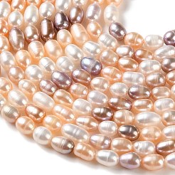 Fili di perle di perle d'acqua dolce coltivate naturali&nbsp;PA-CBABE82-01B