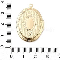 Acumular colgantes medallón de latón chapado&nbsp;KK-K277-05LG