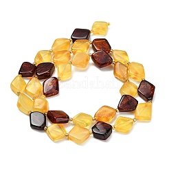 Perles d'ambre naturel brins&nbsp;G-Z106-D01