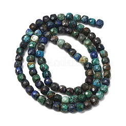 Natürliche Perlen aus Chrysokoll und Lapislazuli&nbsp;GG-CBA9631-B03-04