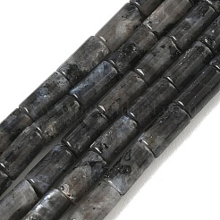 Natürliche Larvikit-Perlenstränge&nbsp;G-B091-A20-01