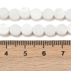 Natürlichen Süßwasser-Muschelperlen Stränge&nbsp;SHEL-K010-03