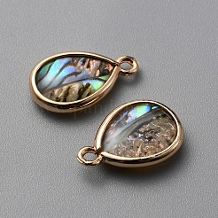 Natur Paua Muschel Anhänger&nbsp;SHEL-WH0002-07