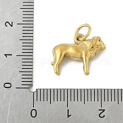 Anhänger aus Edelstahl 304&nbsp;STAS-P391-01E-G
