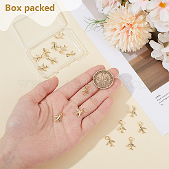 16 breloques en laiton&nbsp;ZIRC-BC0001-28G