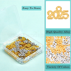 100pcs 2 pendentifs en alliage de couleurs&nbsp;FIND-SP0002-35