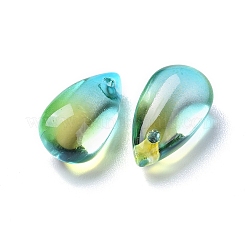 Charms in vetro trasparente&nbsp;X-GLAA-O017-01C