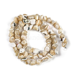 Natürliche Trochusmuschelperlenstränge&nbsp;BSHE-H109-10