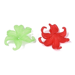 Perles en plastique transparentes givrées&nbsp;KY-N025-62