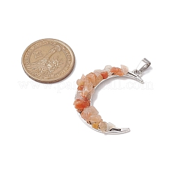 10 Stück 10 Stile natürliche gemischte Edelstein-Chip-Anhänger&nbsp;PALLOY-JF02834