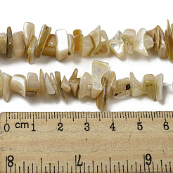 Natürlichen gelben Muschelperlen Stränge&nbsp;SSHEL-H072-05