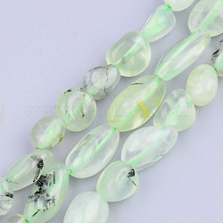 Chapelets de perles en préhnite naturelle, pierre roulée, pépites, 5~13x5~10x3~8mm, Trou: 1mm, Environ 40~60 pcs/chapelet, 14.57 pouce ~ 15.74 pouces (37~40 cm)