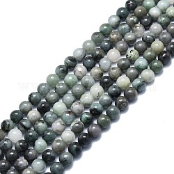 Brins de perles de quartz émeraude naturelle, ronde, 8.5mm, Trou: 1mm, Environ 48 pcs/chapelet, 15.35 pouce (39 cm)