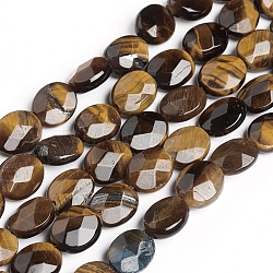 Chapelets de perles d'œil de tigre naturel, ovale, facette, 10.5~11x8.2~8.5x4.1~4.6mm, Trou: 0.8mm, Environ 37 pcs/chapelet, 15.16 pouce (38.5 cm)