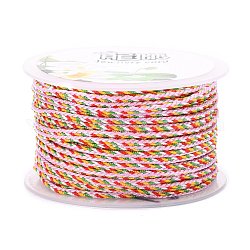 Multi-Color Decorative Nylon Twisted Cord, Nylon Rope String, for Home Decoration, Embellish Costumes, Bag Drawstrings, Pink, 2mm, about 25.1 yards(23m)/roll
