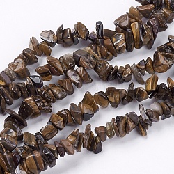Tigre de pierre d'oeil chapelets de perles, puce, 4~10x4~6x2~4mm, Trou: 1mm, Environ 320 pcs/chapelet, 35.4 pouce
