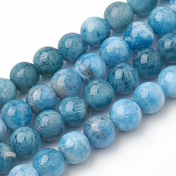 Chapelets de perles en apatite naturelle, ronde, 10x9.5mm, Trou: 1mm, Environ 38 pcs/chapelet, 14.5 pouce