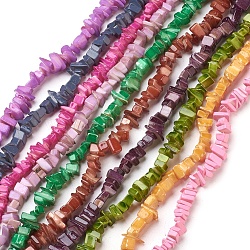 Brins de perles de coquillages d'eau douce peints, puce, couleur mixte, 7~8mm, Trou: 0.5~1mm, environ 36 pouce (91.4 cm)