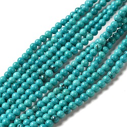 Chapelets de perles en howlite naturelle, teinte, ronde, turquoise, 3mm, Trou: 0.8mm, Environ 130~133 pcs/chapelet, 15.39~15.75 pouce (39.1~40 cm)