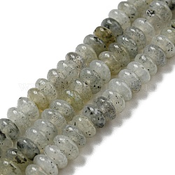 Fili di perline di labradorite bianche naturali, rondelle, 4~4.5x2~2.5mm, Foro: 1.2 mm, circa 155~163pcs/filo, 15.24''~15.31'' (38.7~38.9 cm)