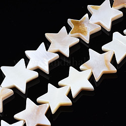 Natural Freshwater Shell Beads Strands, Pentagram, Seashell Color, 12~13x12~13.5x2.5mm, Hole: 0.5mm, about 36pcs/strand, 15.16 inch(38.5cm)