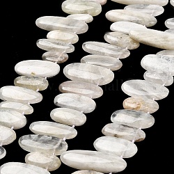 Natürlichen Mondstein Perlen Stränge, oben gebohrt, oval Charme, 8~17.5 mm breit, 16.5~44 mm lang, 3~8 mm dick, Bohrung: 0.9 mm, ca. 32 Stk. / Strang, 15.75''~(40~41cm)