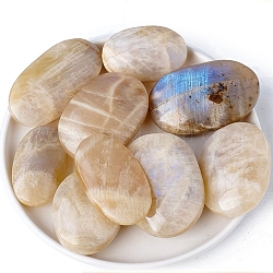 Pietre di palma naturali in pietra di luna, pietra tascabile curativa, ovale, 40~70mm
