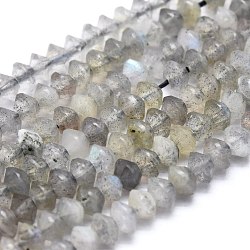 Chapelets de perles en labradorite naturelle , facette, Toupie, 3.5~4x2~3mm, Trou: 0.6mm, Environ 171 pcs/chapelet, 15.55 pouce (39.5 cm)