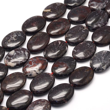 Natural Bloodstone Beads Strands G-L309-10-1