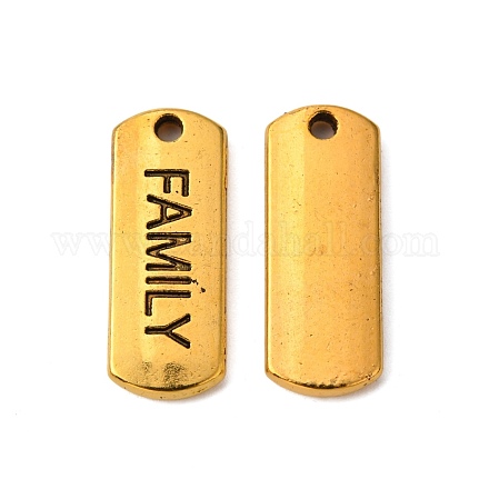 単語家族のペンダントを持つチベットのスタイル合金の長方形  カドミウムフリー＆鉛フリー  アンティーク黄金  8x21x2mm  穴：2mm  約550個/1000g TIBEP-Q043-057AG-RS-1