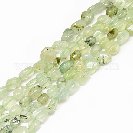 Chapelets de perles en préhnite naturelle G-S301-46-1