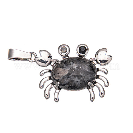 Pendenti in larvikite naturale PW-WG77816-13-1