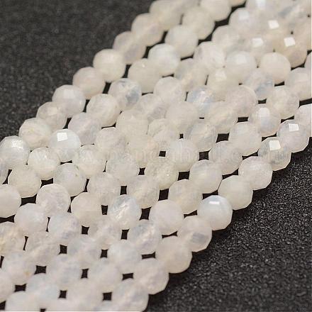 Brins de perles de pierre de lune arc-en-ciel naturel G-F460-23-1