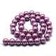 Polished Round Grade A Shell Pearl Bead Strands BSHE-M027-16mm-11-3