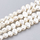 Natural Cultured Freshwater Pearl Beads Strands X-PEAR-S012-81E-1