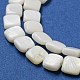 Eau douce naturelle de coquillage perles brins SHEL-C005-05-3