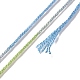10かせ 6層ポリエステル刺繍フロス  クロスステッチの糸  セグメント染め  ライトシーグリーン  0.5mm  約8.75ヤード（8m）/かせ OCOR-K006-A32-3
