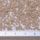 MIYUKI Round Rocailles Beads SEED-X0054-RR0593-4