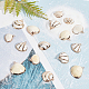 Кулоны с гальваническими ракушками sunnyclue SSHEL-SC0001-09-4