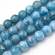Natural Apatite Beads Strands G-S150-18-10mm-1