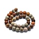 Natural Fossil Coral Beads Strands G-E576-03C-2