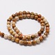 Faceted Round Natural Fossil Coral Bead Strands G-L437-03-6mm-2