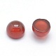 Natural Carnelian Cabochons G-P393-R03-4mm-2
