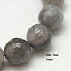Natural Labradorite Beads Strands G-G213-14mm-03-1