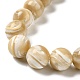 Natural Trochus Shell Beads Strands SHEL-K006-18B-3
