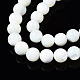 Fili di perle di conchiglia trochid naturale / trochus SSHEL-S266-023A-03-3