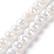 Electroplate Glass Beads Strands X-GLAA-E036-13E-1