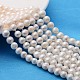 Brins de perles de culture d'eau douce naturelles X-A02S7013-1