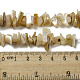 Natural Yellow Shell Beads Strands SSHEL-H072-05-4