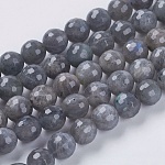 Natural Labradorite Beads Strands, Faceted, Round, Gray, 8mm, Hole: 1mm, about 50pcs/strand, 15.5 inch